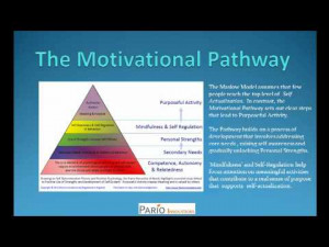 videos encountering maslow views 938 maslow and self actualization ...