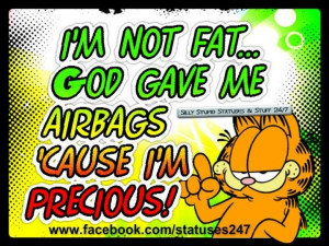 garfield quotes