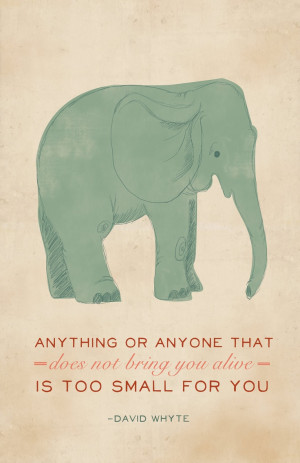 ... quotes david whyte quotes elephant infatuation whyte posters elephant