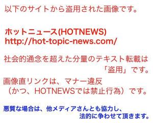 この農耕車の後ろにいたら、前が全く見えなそう ...