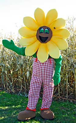 Custom Corporate Mascot