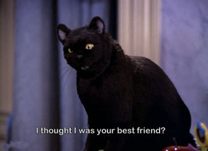 cats Sabrina the teenage witch Salem Saberhagen ep: jealousy