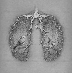 art, beautiful, birds, lungs