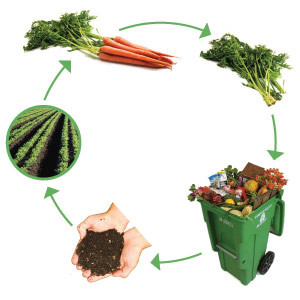 reduce overall waste composting can reduce your waste by up to 50 %