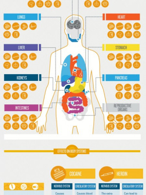 This is Your Body on Drugs Infographic