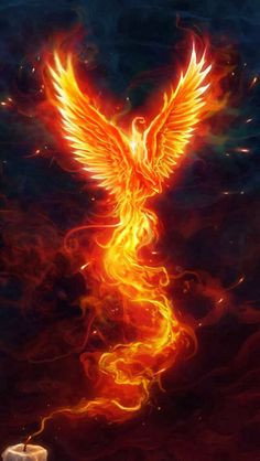 Rise From The Ashes..Be A Phoenix