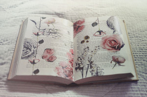 beautiful, book, flowers, rose, roses