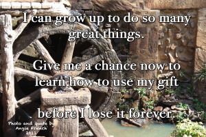 Quotes for the Gifted Learner