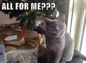 Lol Cats - All For Me???