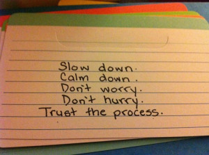slow down, calm down, don't worry, don't hurry.... TRUST THE PROCESS ...