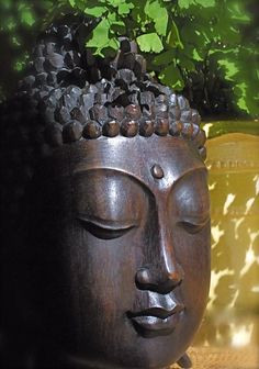 Buddha Head, Prune, Zen Buddha Tranquil, Buddha Blessed, Bouddha ...