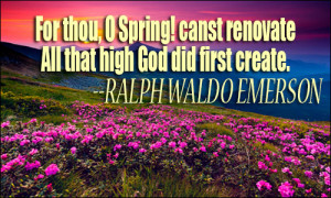 Spring Quotes Spring quote