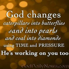 GOD changes caterpillars into butterflies sand into pearls and coal ...