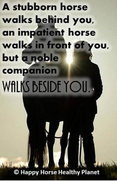 stubborn horse walks behind you.... www.HappyHorseHealthyPlanet.com