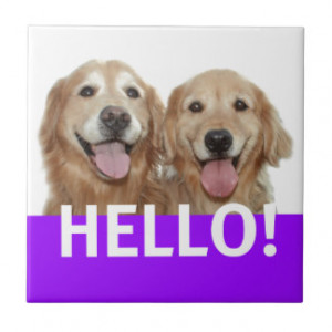 Golden Retriever Hello Small Square Tile