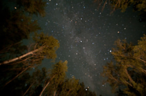 EN: What is the meaning of your title, The Night Sky ?