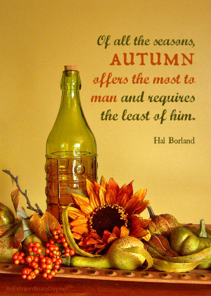 Faux Fall Vignette :: Fall Quote :: AnExtraordinaryDay.net