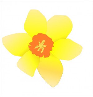 Daffodil Clip Art Vector Online Royalty Free Public Pictures