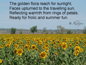 sunflower poem Sunflower Poem
