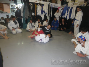 Rigan_Machado_teaching_Brazilian_Jiu_Jitsu_.jpg