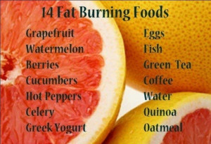 Beneficial Foods to burn excess fat!