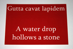 Ovid Quote Postcard - Red - Water Drop