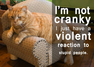 Attitude Quotes and Sayings