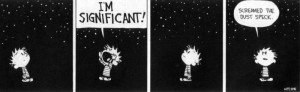 Gallery Calvin & Hobbes - I'm Significant