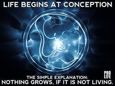 Life Begins at Conception. Pro-life Quote