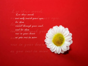 Valentines Day Lovely Quotes On Wallpapers