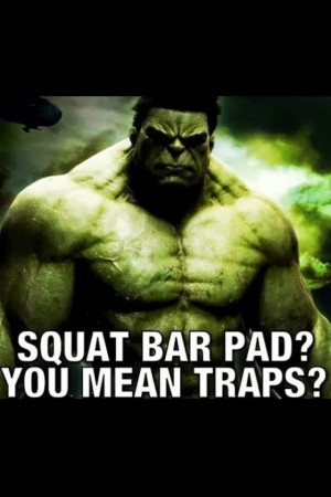 ... , Beastmode Squats, Bodybuilding Hulk, Bodybuilding Motivation
