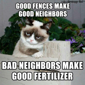 . Bad neighbors make good fertilizer. Grumpy catFence, Cat Quotes ...