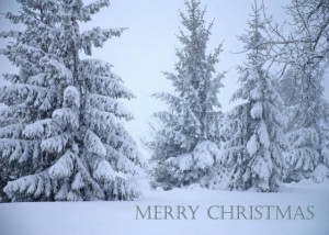 posted by merry christmas wallpapers at 1 07 am labels christmas snow ...
