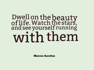 dwell on the beauty of life watch the stars and
