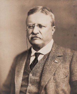 Theodore Roosevelt Picture Gallery