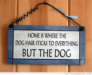 Home is where the dog hair sticks to everything but the dog