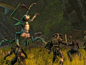 Games-wallpapers-The Elder Scrolls Online-wallpaper