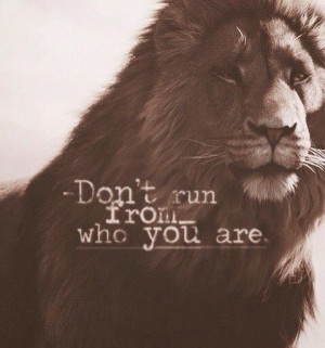 fight your battle #lion #roar