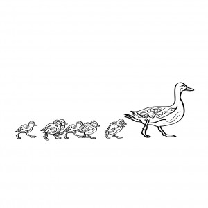 Ducklings in a Row