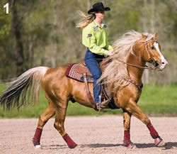 Softening Exercise for Your Speed Horse with Sherry Cervi