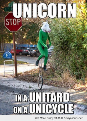 unicorn unitard unicycle man riding costume random street funny pics ...