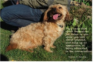 Dog Quotes On Nice Photographs