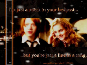 Harry Potter Ron and Hermione