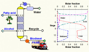 based Reactive Distillation for Synthesis of Fatty Acids Esters