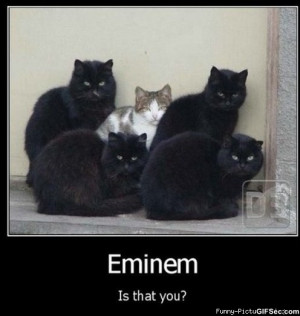 Eminem funny