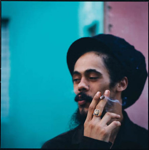 Damian Marley weed quotes