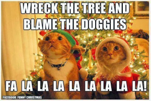 What Christmas is like when you have cats!