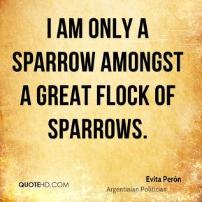 Flock Quotes