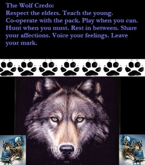 Native American Wolf Sayings Re: native american code of