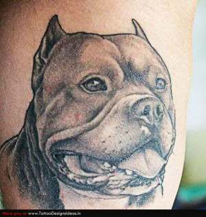 Related Pictures devil dog tattoo tattoos